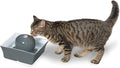 Dog or Cat Seascape Ceramic Pet Water Fountain