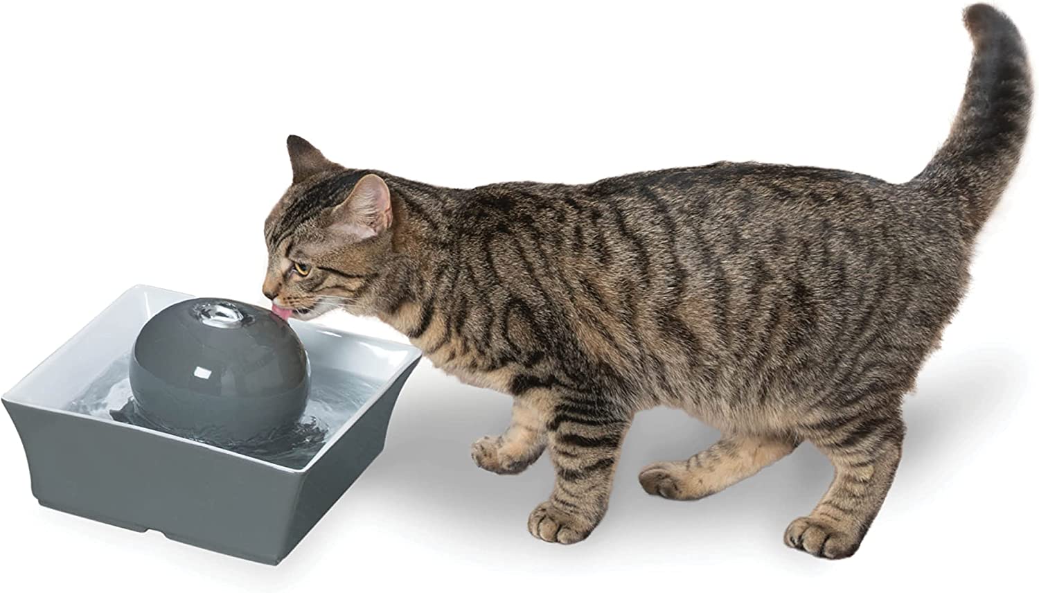 Dog or Cat Seascape Ceramic Pet Water Fountain