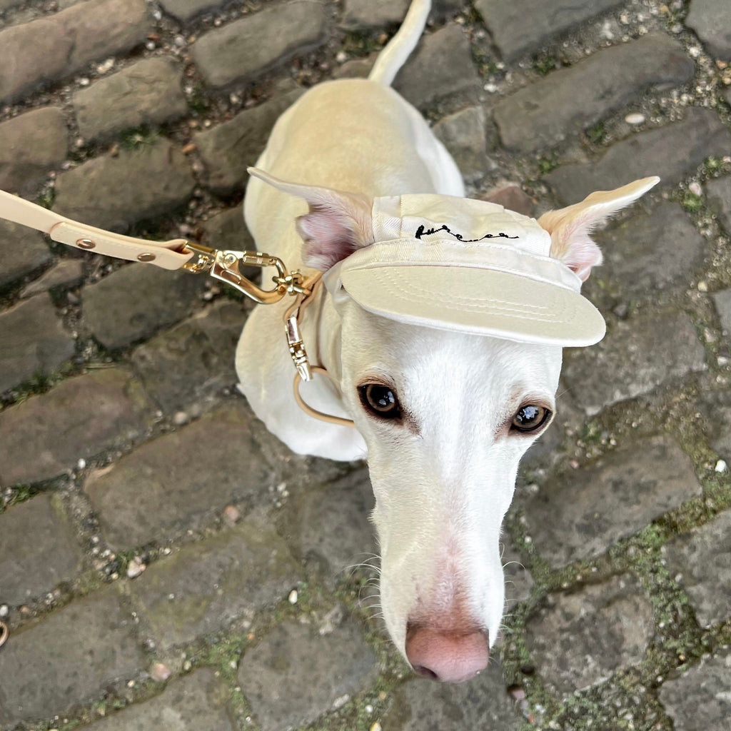 Fur Elise Furever Pet Hat