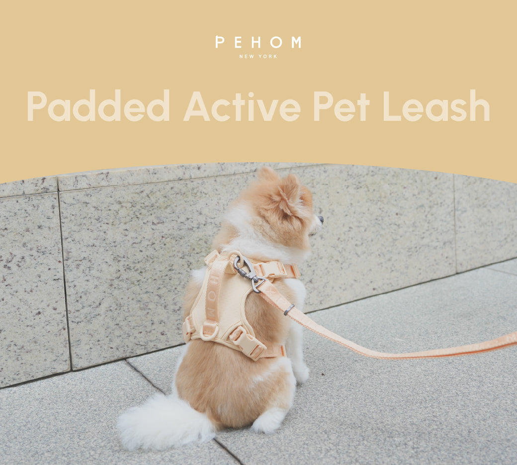 Padded Active Dog Leash – Apricot | Breathable, Durable & Secure | M & L