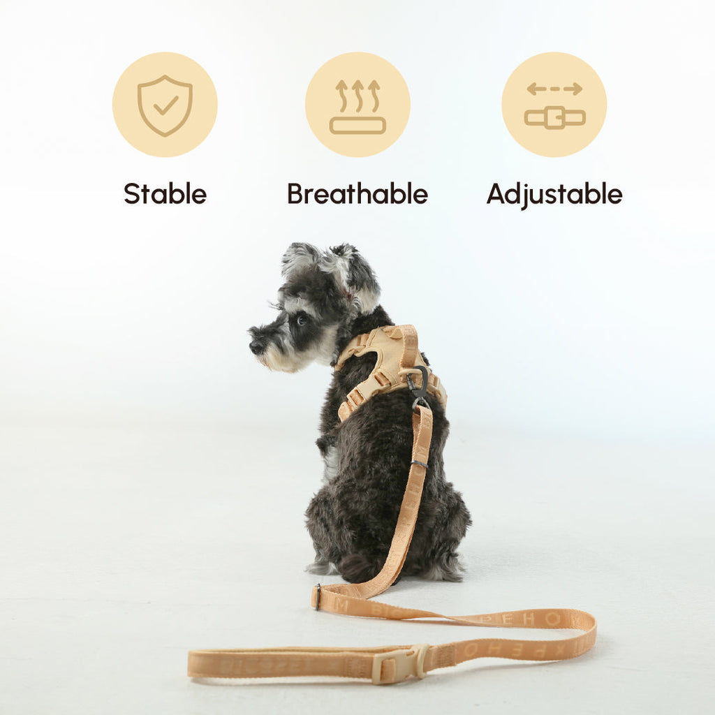 Padded Active Dog Leash – Apricot | Breathable, Durable & Secure | M & L