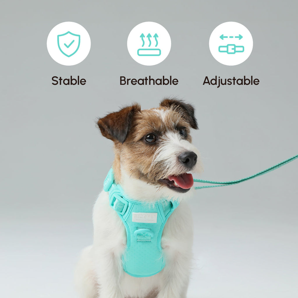 Padded Active Dog Leash – Mint Green | Breathable, Durable & Secure | M & L