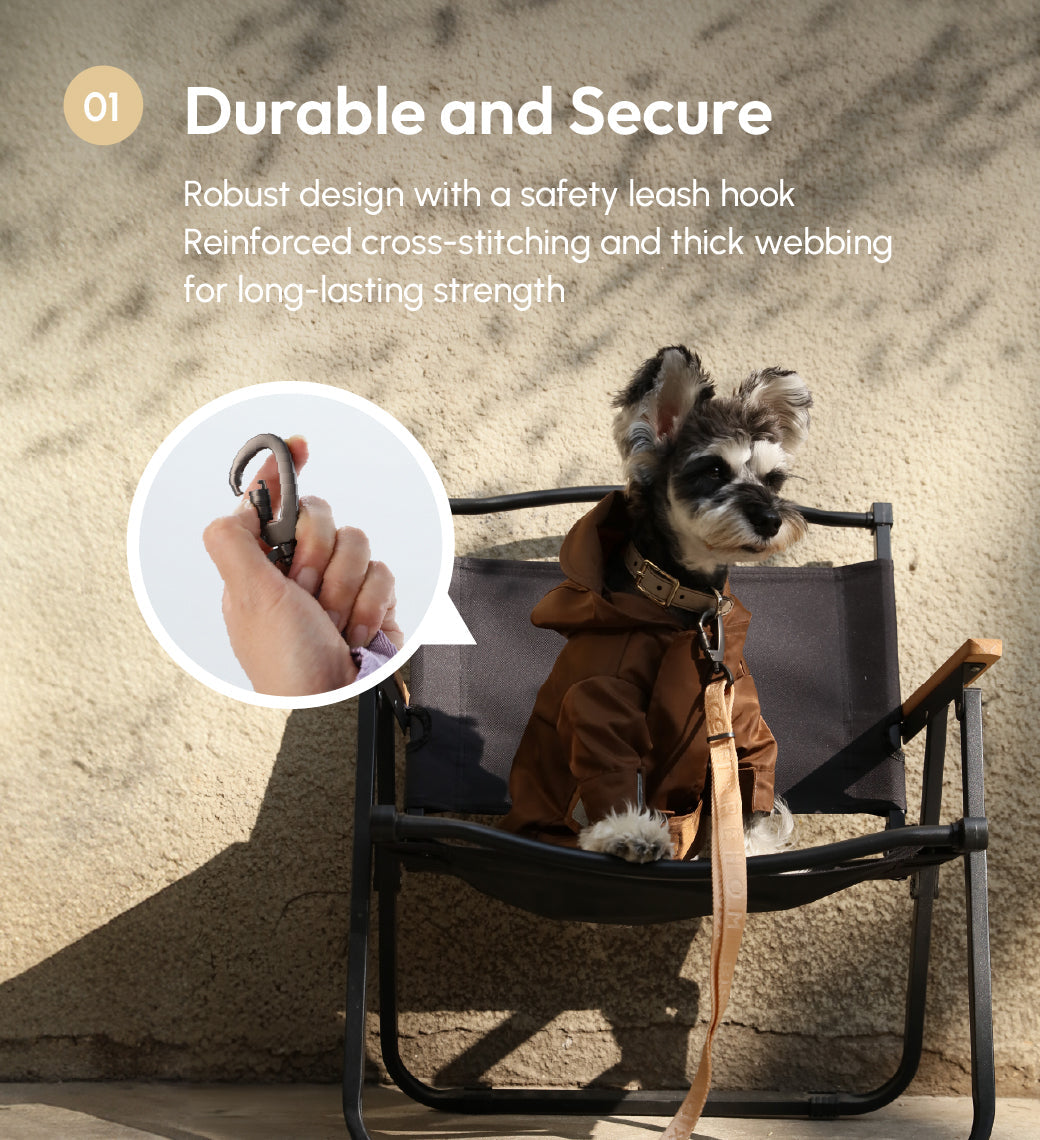 Padded Active Dog Leash – Apricot | Breathable, Durable & Secure | M & L