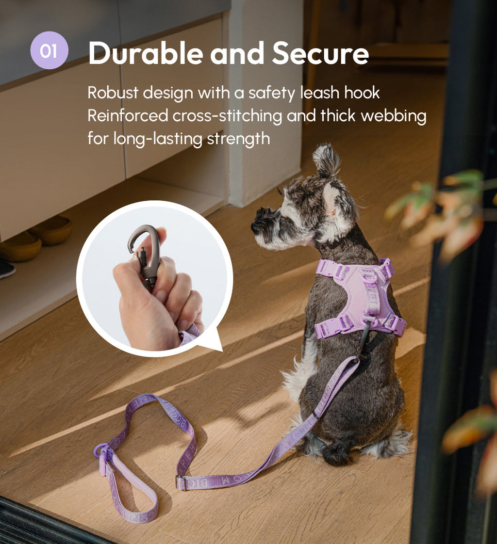 Padded Active Dog Leash – Mint Purple | Breathable, Durable & Secure | M & L