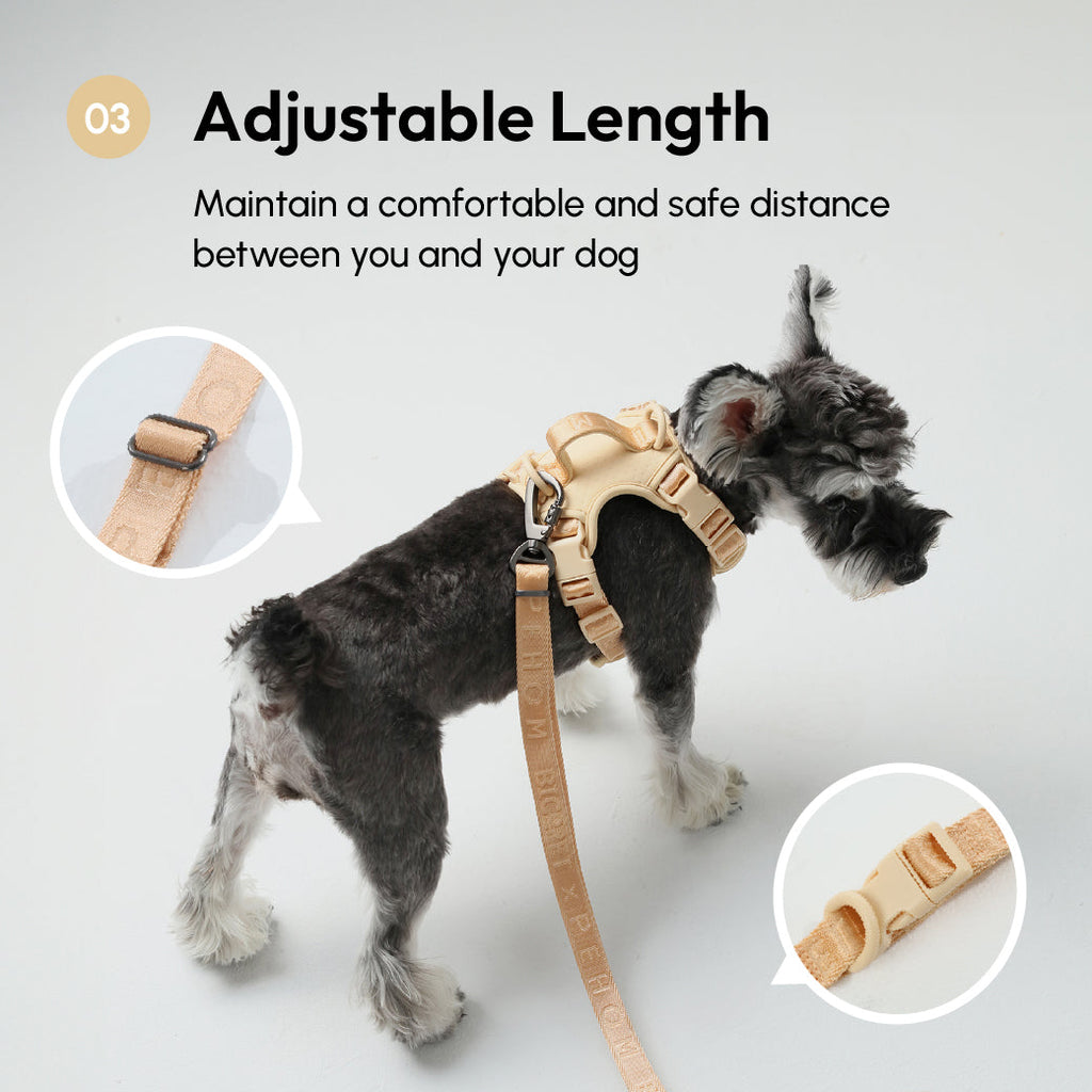Padded Active Dog Leash – Apricot | Breathable, Durable & Secure | M & L