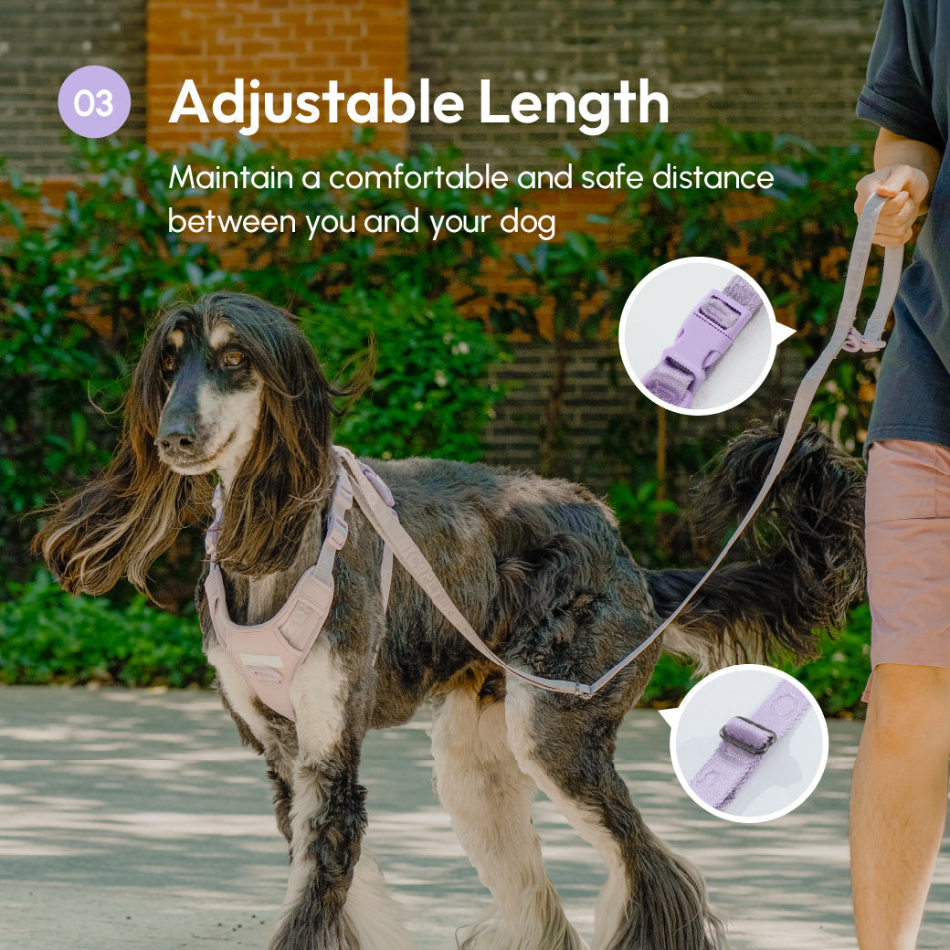 Padded Active Dog Leash – Mint Purple | Breathable, Durable & Secure | M & L