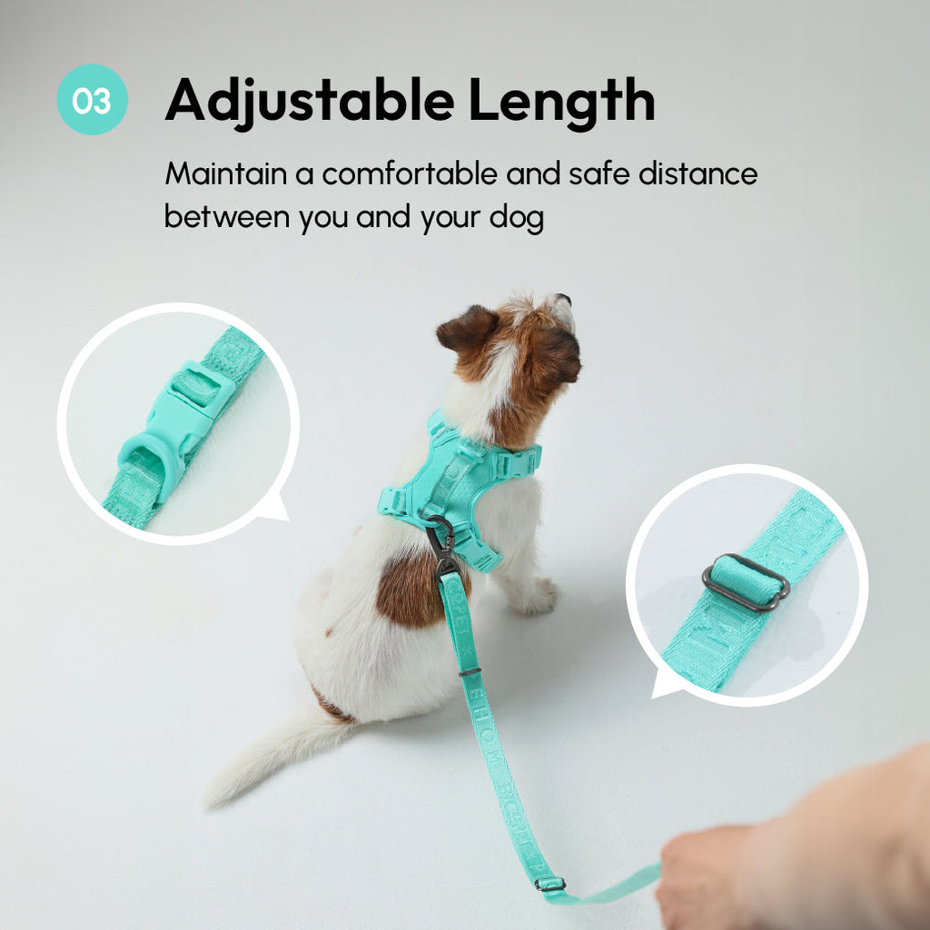 Padded Active Dog Leash – Mint Green | Breathable, Durable & Secure | M & L