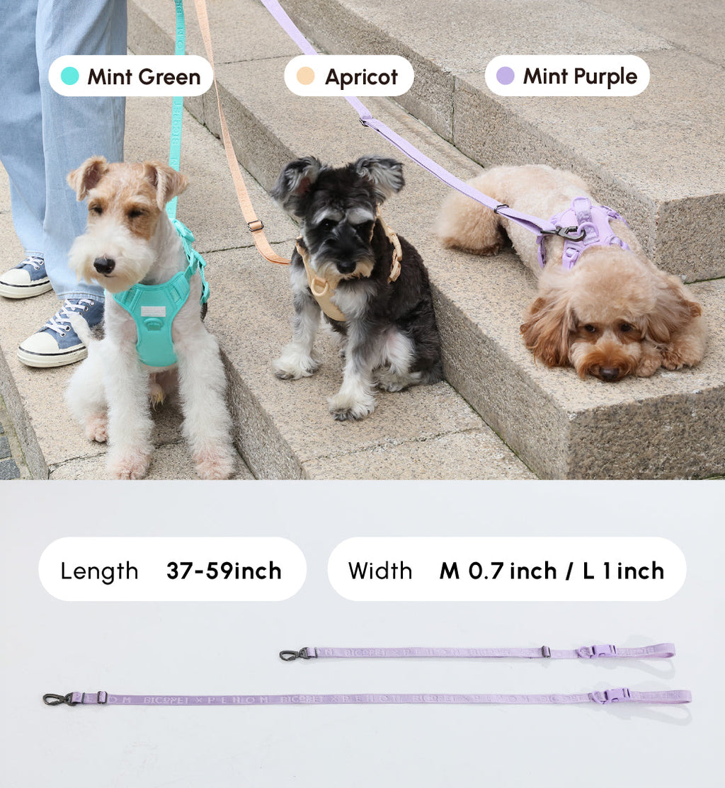 Padded Active Dog Leash – Mint Purple | Breathable, Durable & Secure | M & L