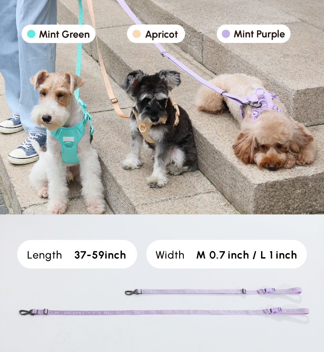 Padded Active Dog Leash – Mint Green | Breathable, Durable & Secure | M & L
