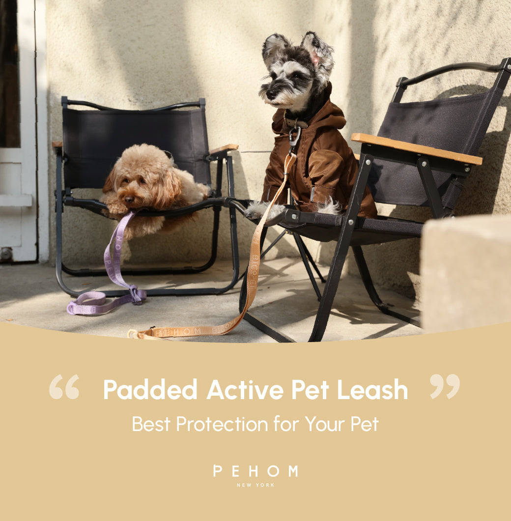 Padded Active Dog Leash – Apricot | Breathable, Durable & Secure | M & L
