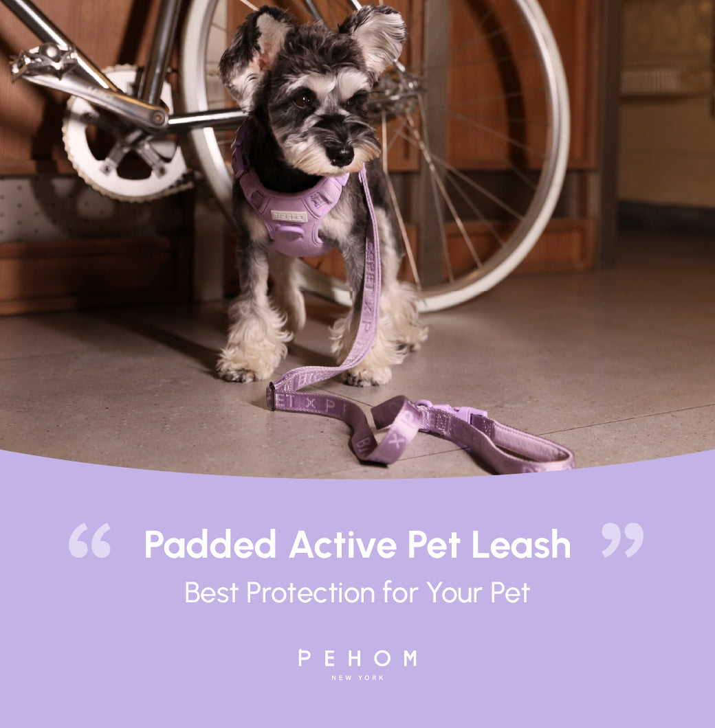 Padded Active Dog Leash – Mint Purple | Breathable, Durable & Secure | M & L