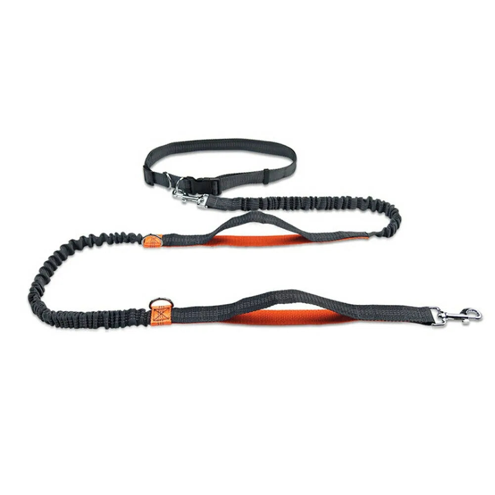 Reflective Rope Dog Leash – Hands-Free, Multi-Ring | Blue, Orange & Green