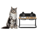 Elevated Pet Feeder with 2 Stainless Steel Bowls for Cats and Small and Medium Dogs Default Title