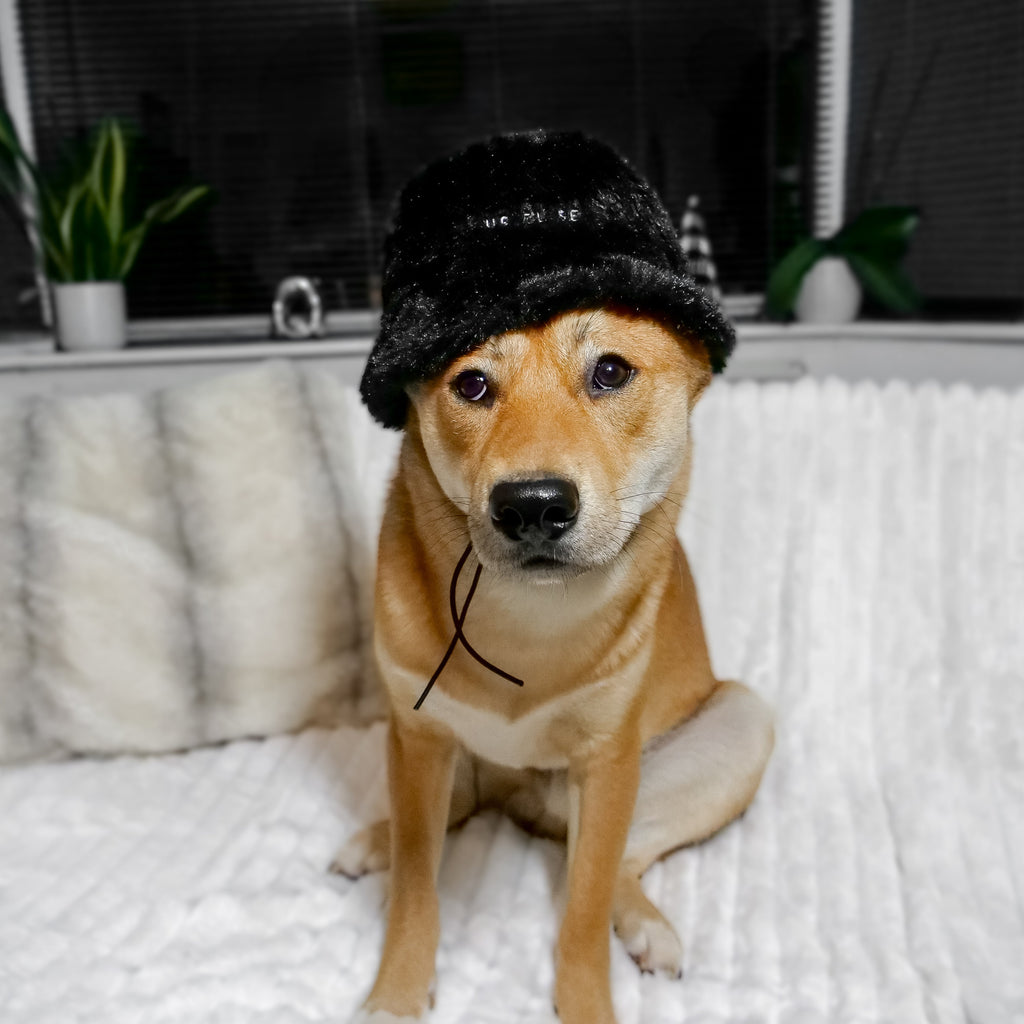 Fur Elise Furi Pet Hat - Noir