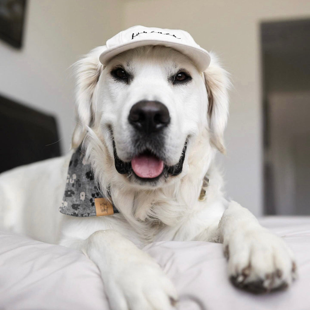 Fur Elise Furever Hat Bundle