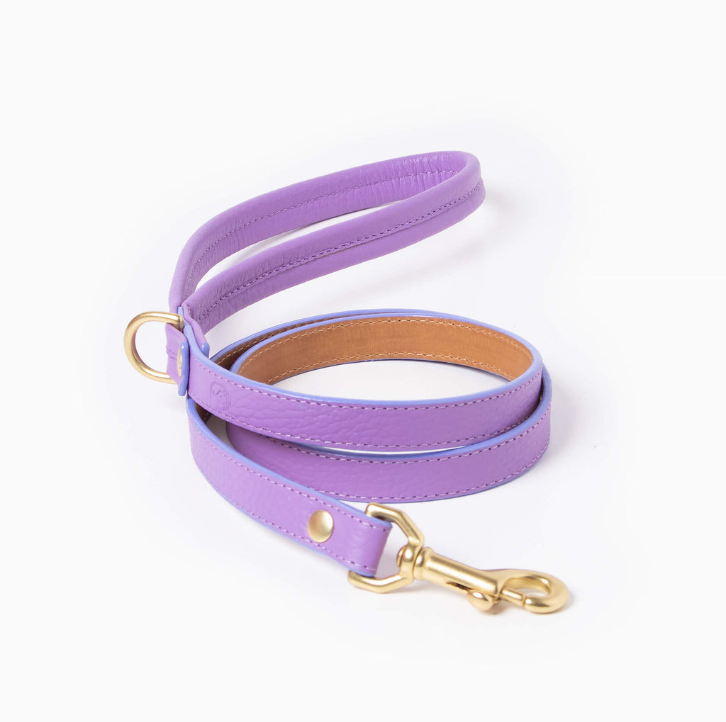Fairy Leash