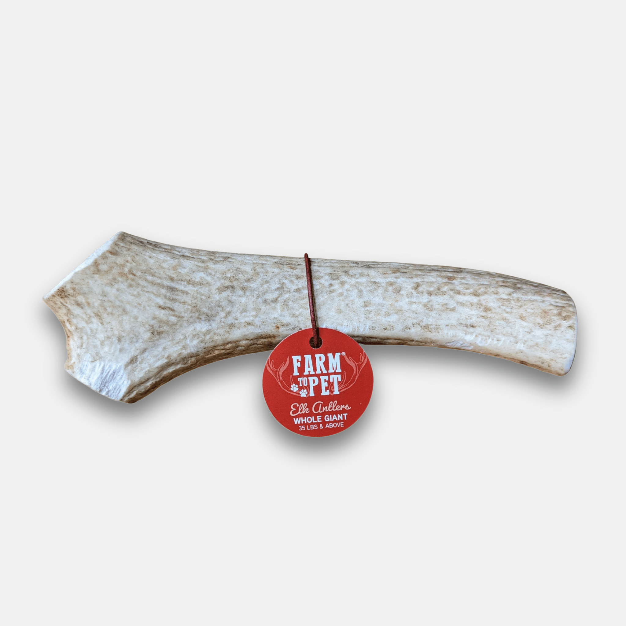 Elk Antler Dog Chews | All-Natural Whole and Split Elk Antler Chews for Dogs Whole Giant (35+ LBS)