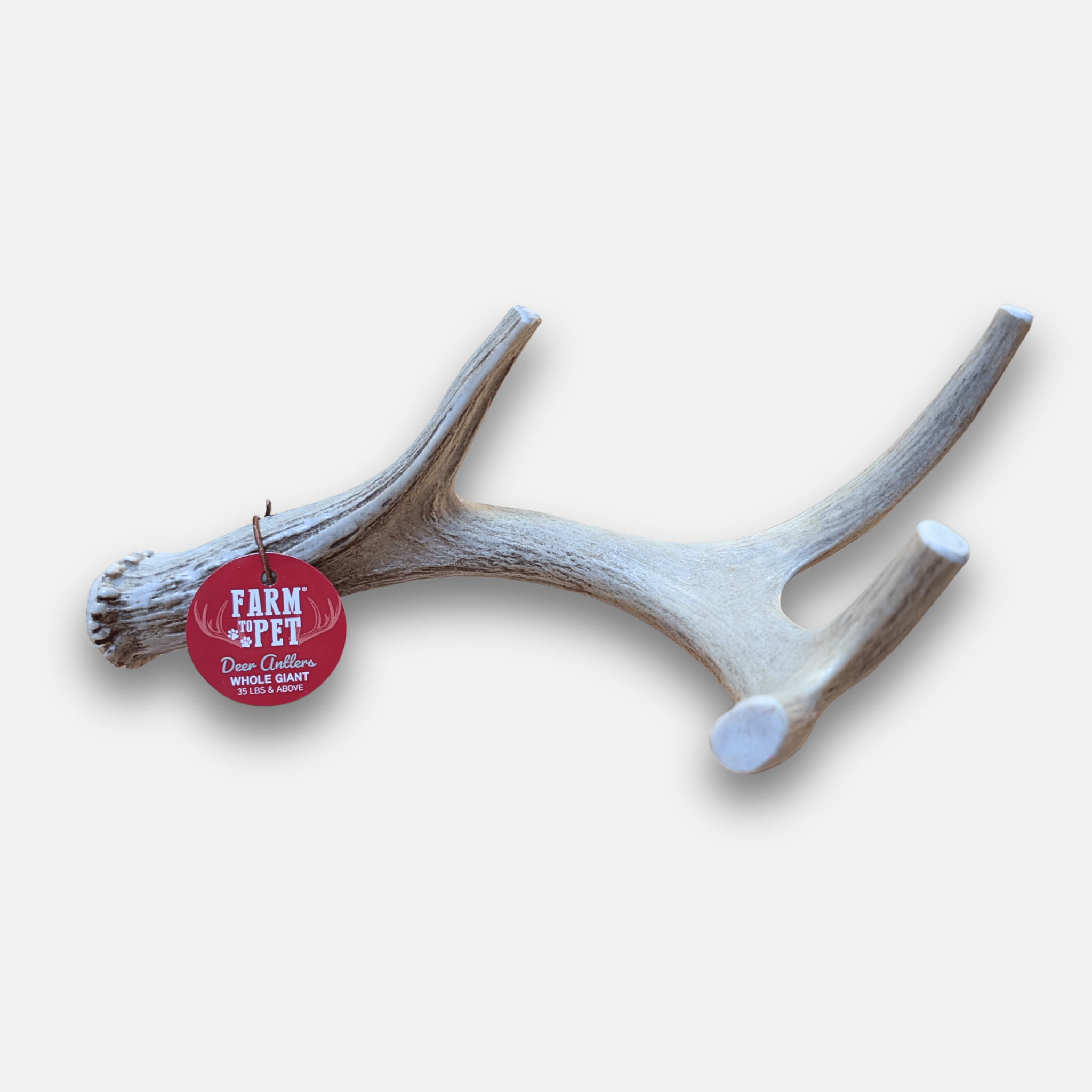 Deer Antler Dog Chews | Organic Chews for Dogs Giant (35+ LBS)