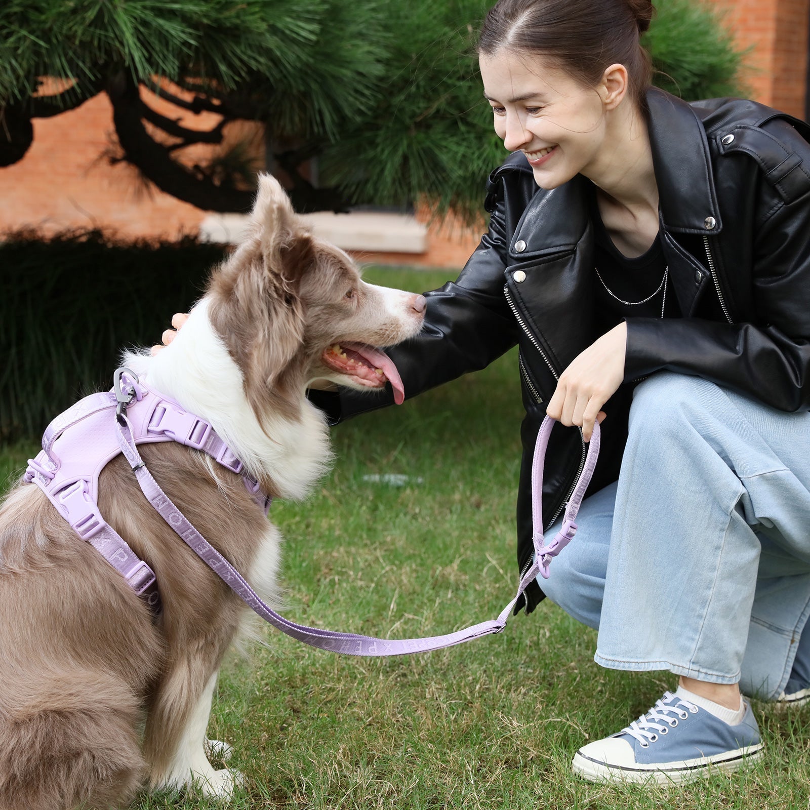 Padded Active Dog Leash – Mint Purple | Breathable, Durable & Secure | M & L