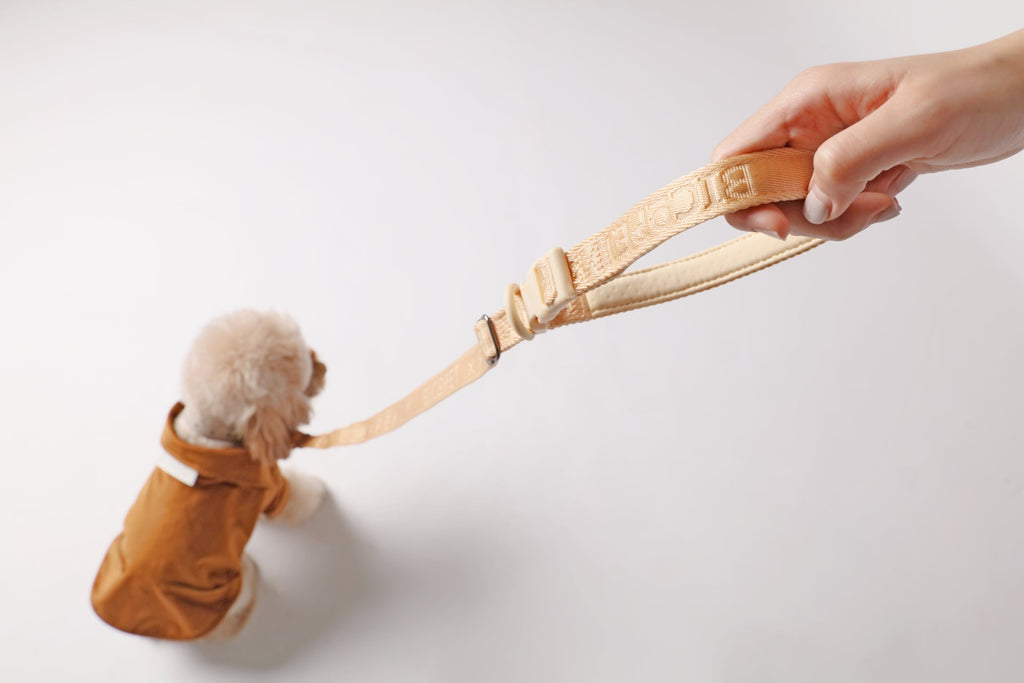 Padded Active Dog Leash – Apricot | Breathable, Durable & Secure | M & L