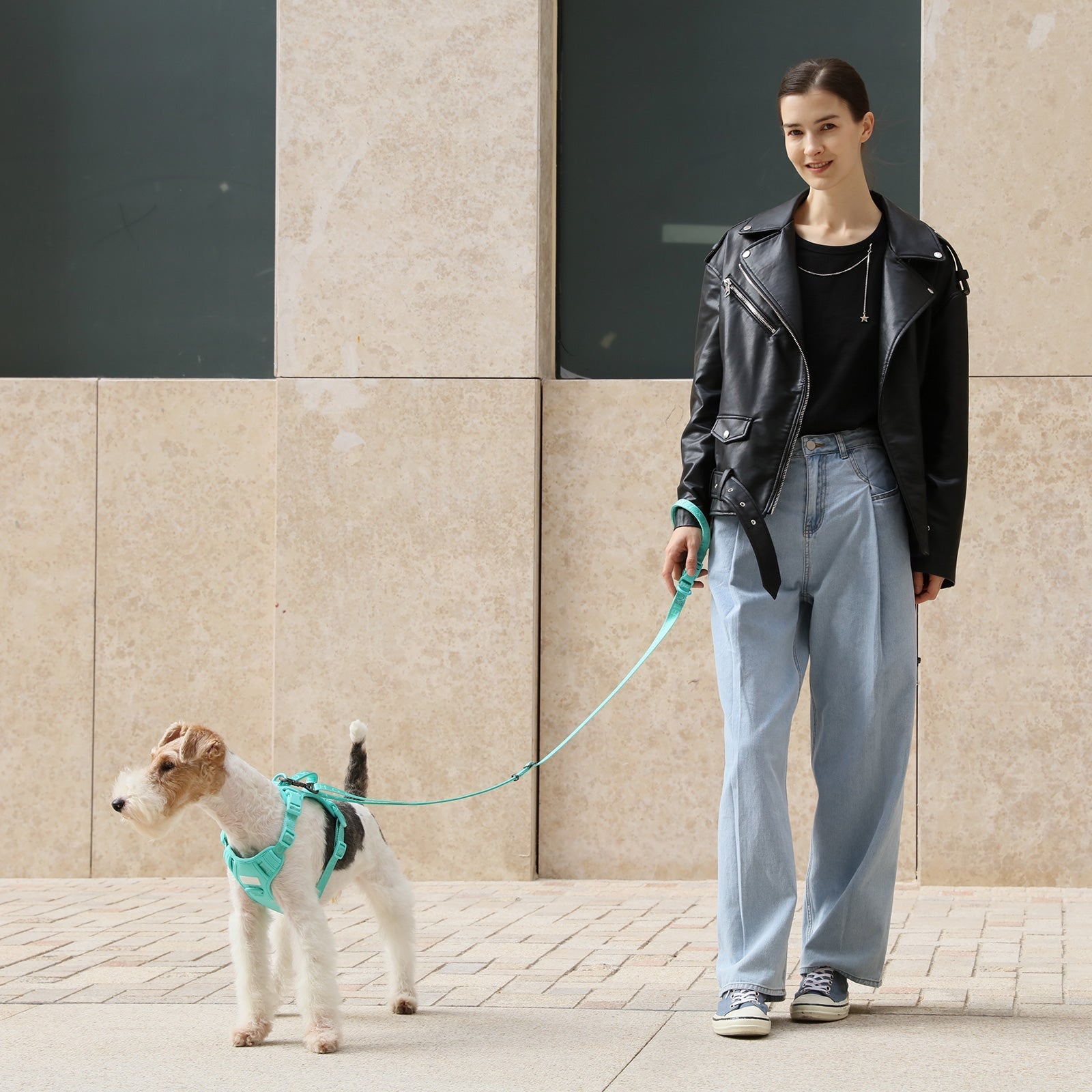 Padded Active Dog Leash – Mint Green | Breathable, Durable & Secure | M & L