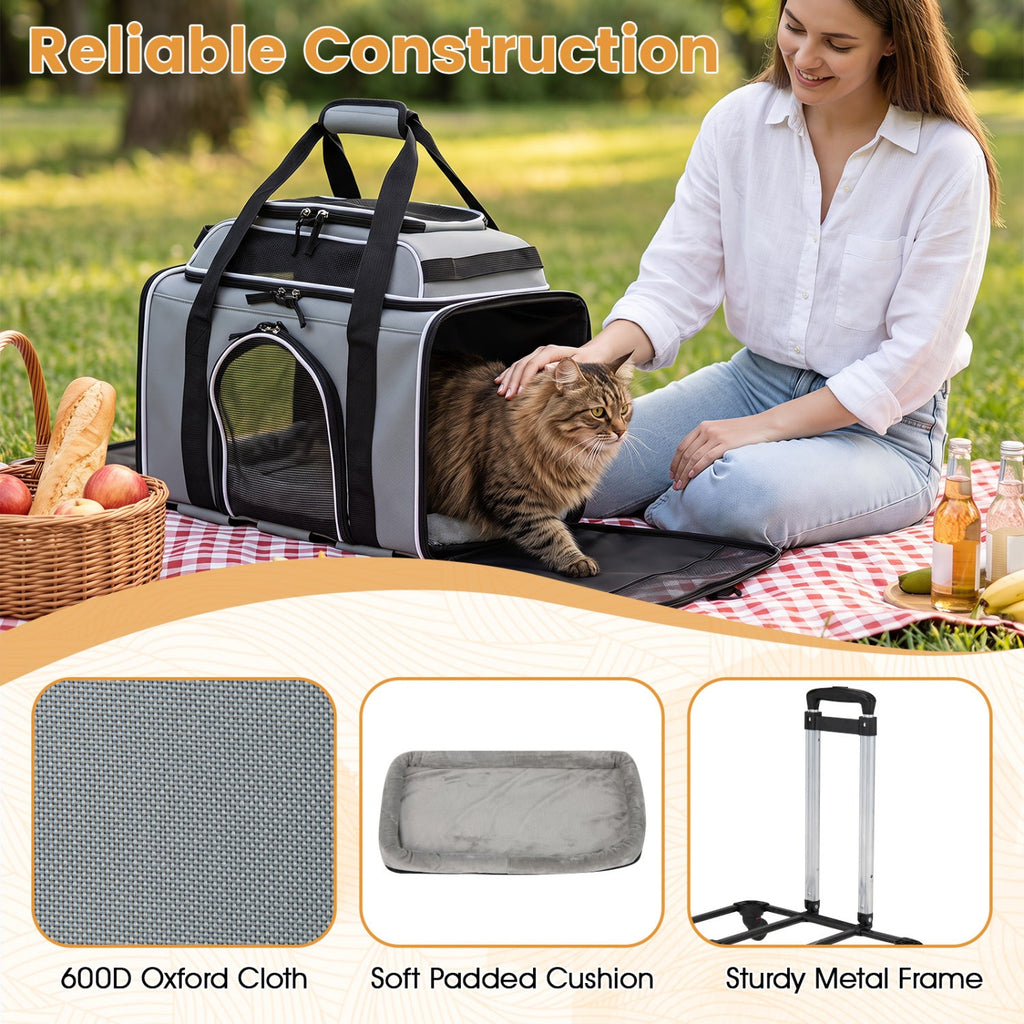 Rolling Pet Carrier with Wheels for Cats and Small Dogs