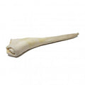 Beef Bull Tail Dog Treat, Full Length Full Length