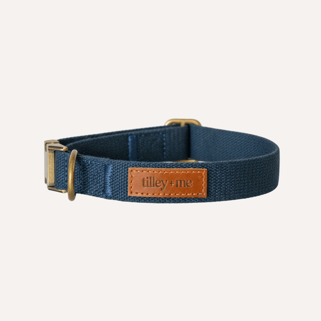 Tilley + Me Hemp Cotton Dog Collar – Durable, Adjustable, Soft – Joshua Tree Indigo Sky Blue