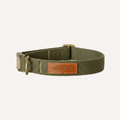 Tilley + Me Hemp Cotton Dog Collar – Durable, Adjustable, Soft – Joshua Tree Sagebrush Green