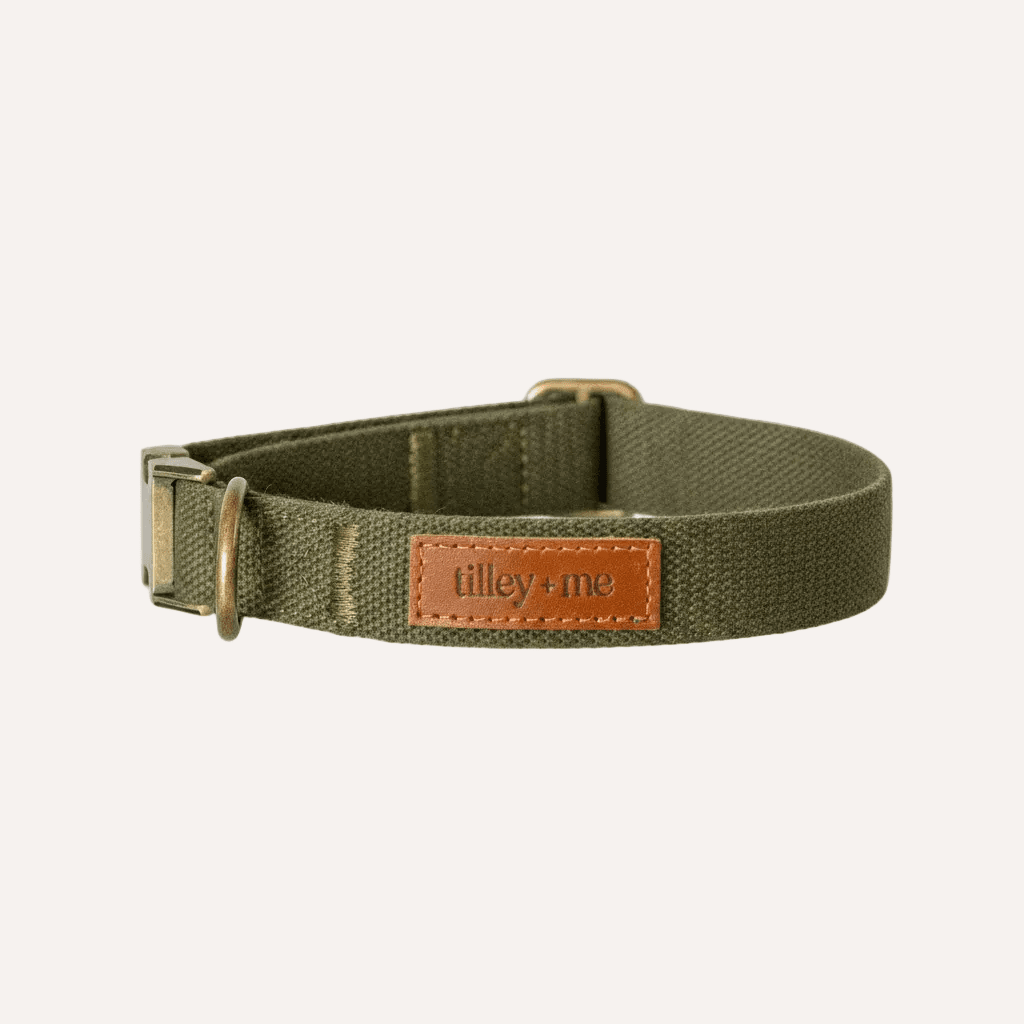 Tilley + Me Hemp Cotton Dog Collar – Durable, Adjustable, Soft – Joshua Tree Sagebrush Green