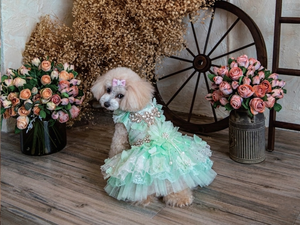 Mint Green Crystal Tulle Pet Party Dress