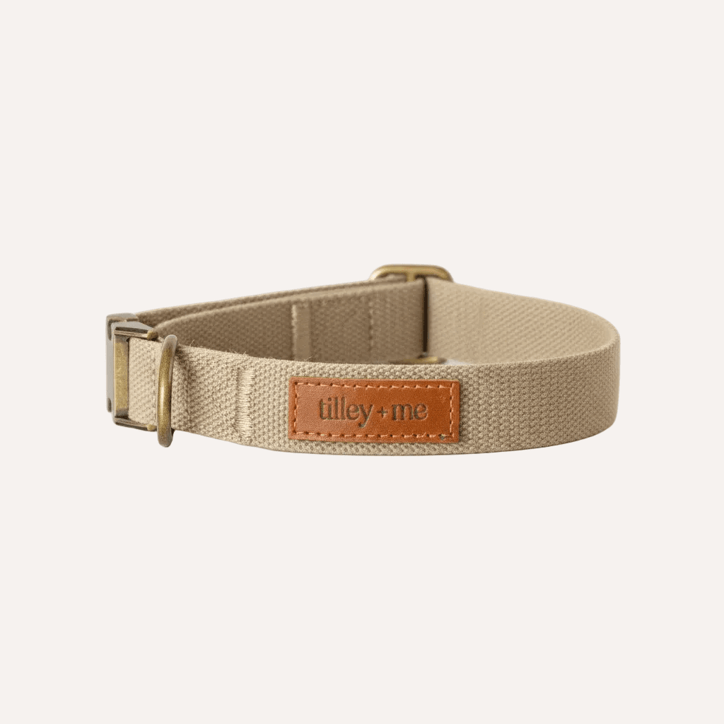 Tilley + Me Hemp Cotton Dog Collar – Durable, Adjustable, Soft – Joshua Tree Desert Sand