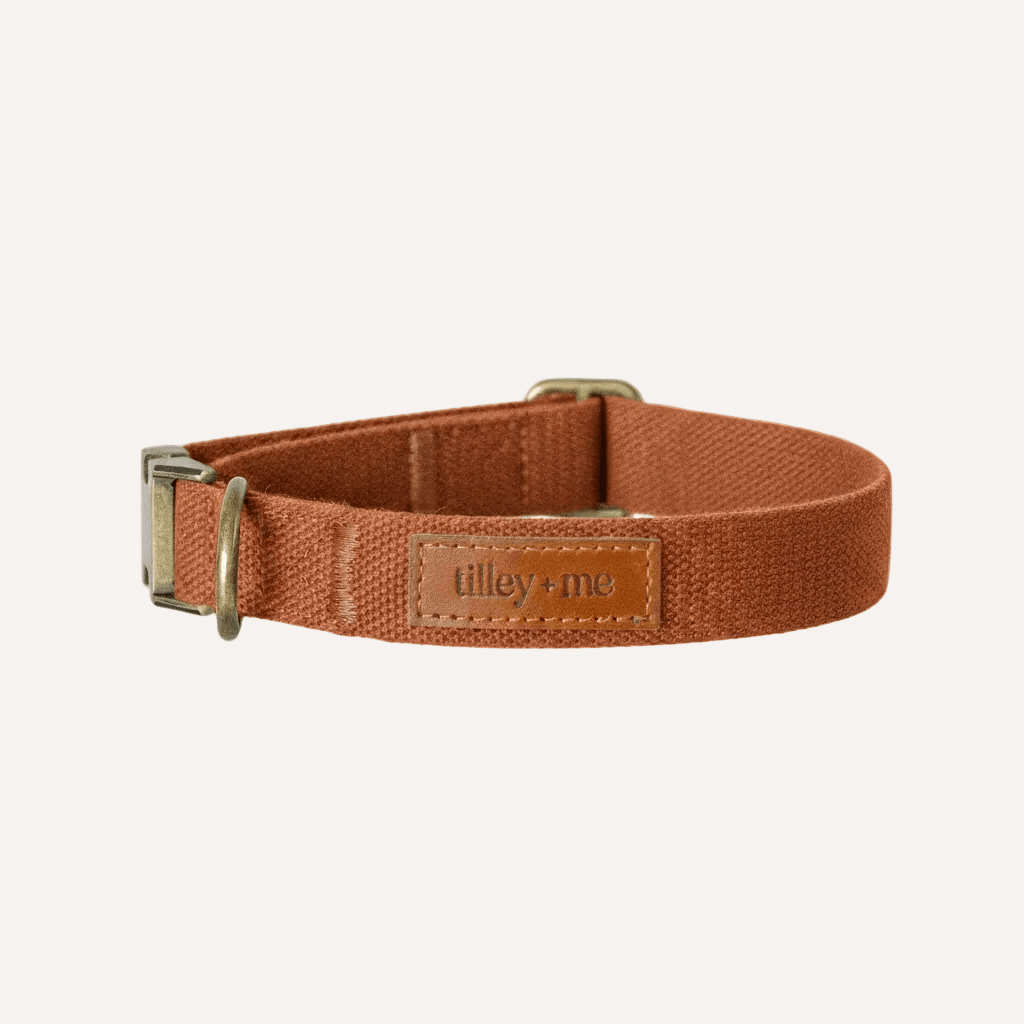 Tilley + Me Hemp Cotton Dog Collar – Durable, Adjustable, Soft – Joshua Tree Terracotta Clay