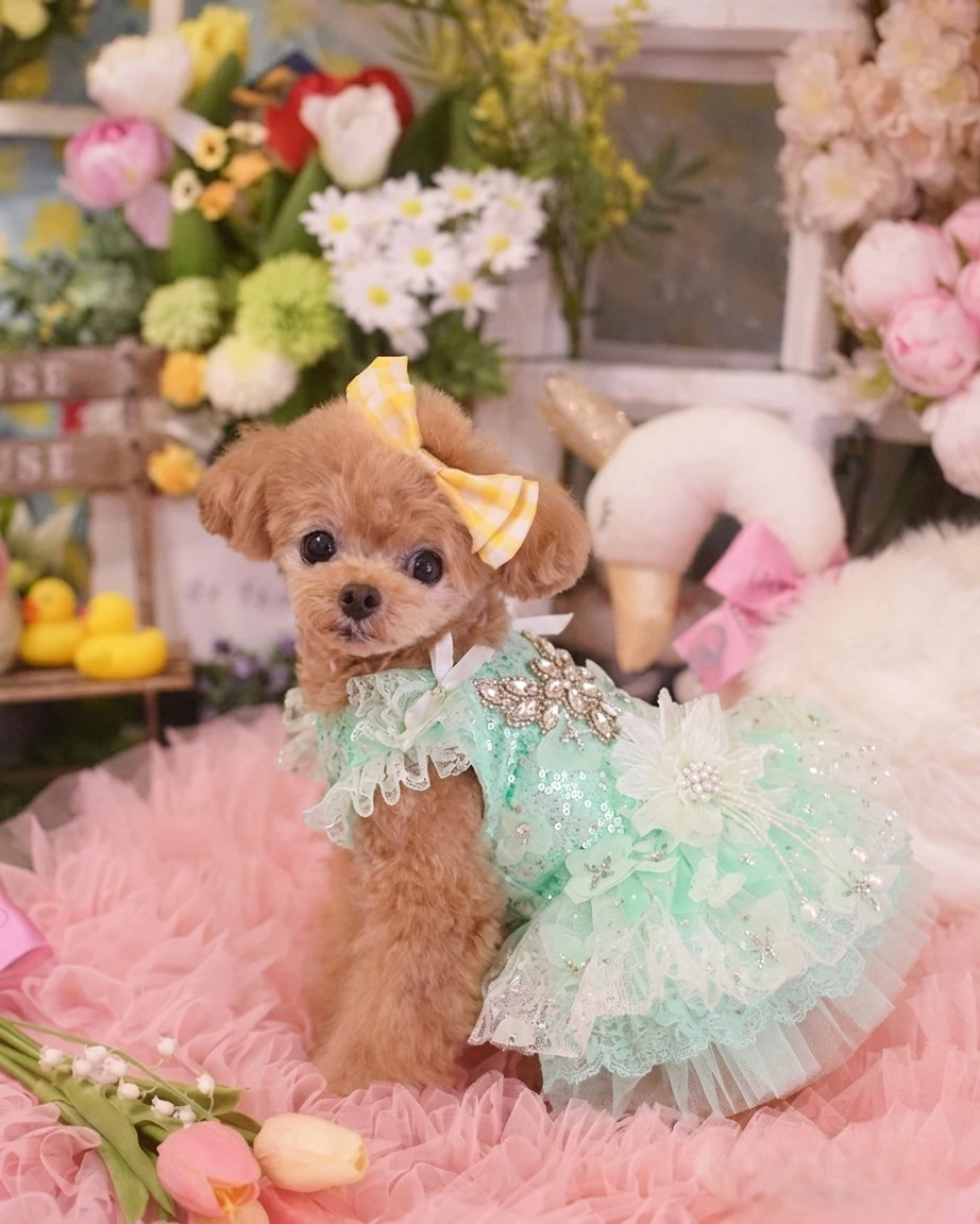 Mint Green Crystal Tulle Pet Party Dress