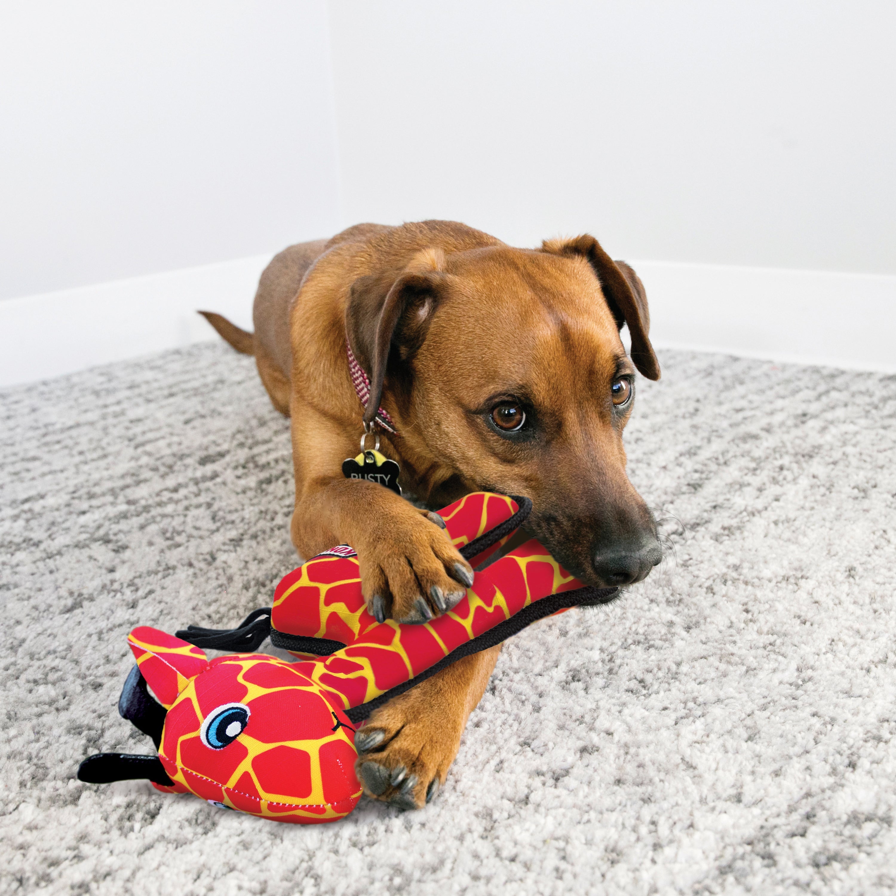 Kong Ballistic Giraffe Medium/Large