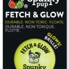 Fetch & Glow Ball for Dogs Medium