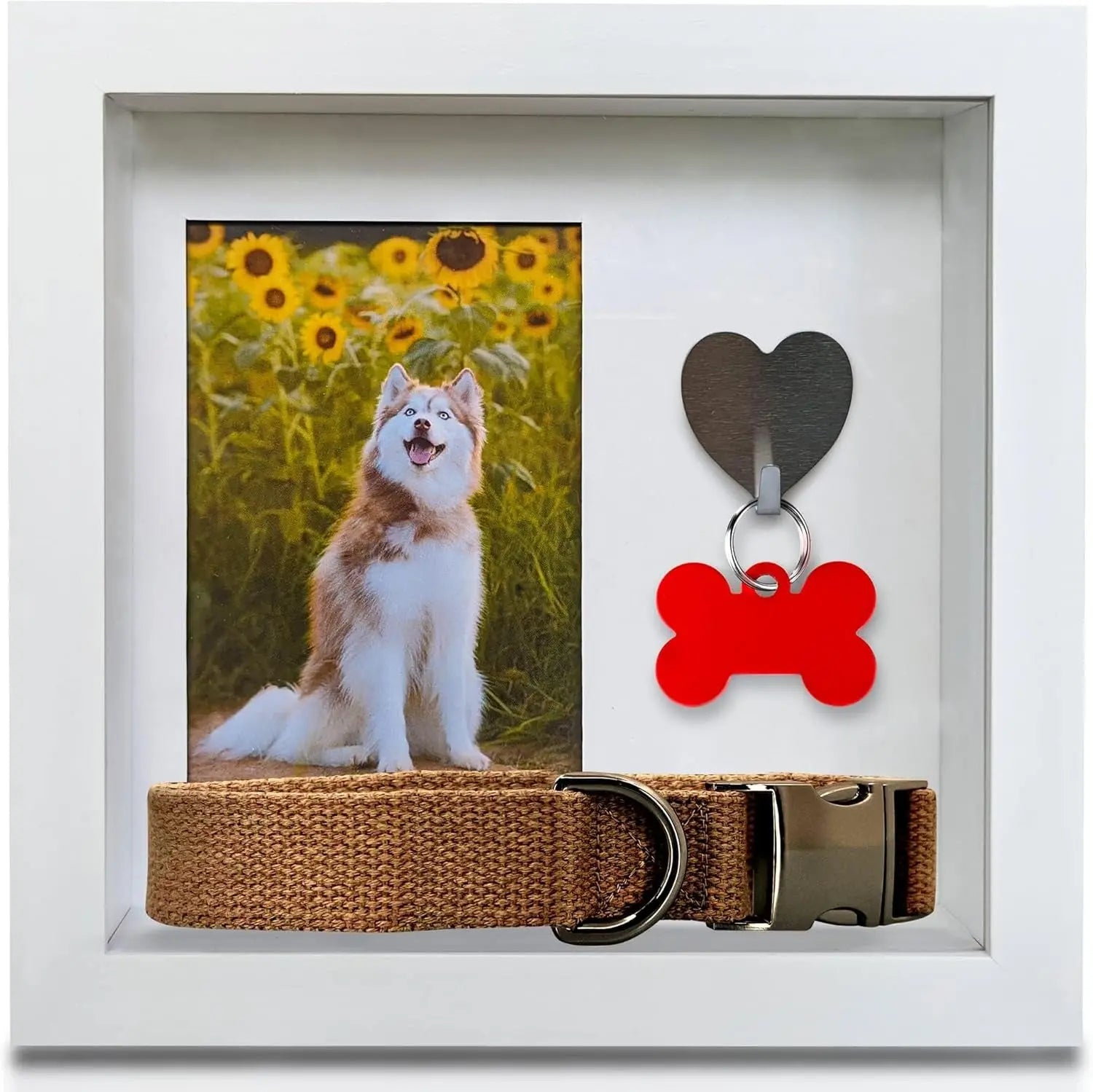Green Pollywog Pet Memorial Shadowbox | Collar, Tag & Photo Keepsake Dog Tag Collar Photo Shadowbox Frame