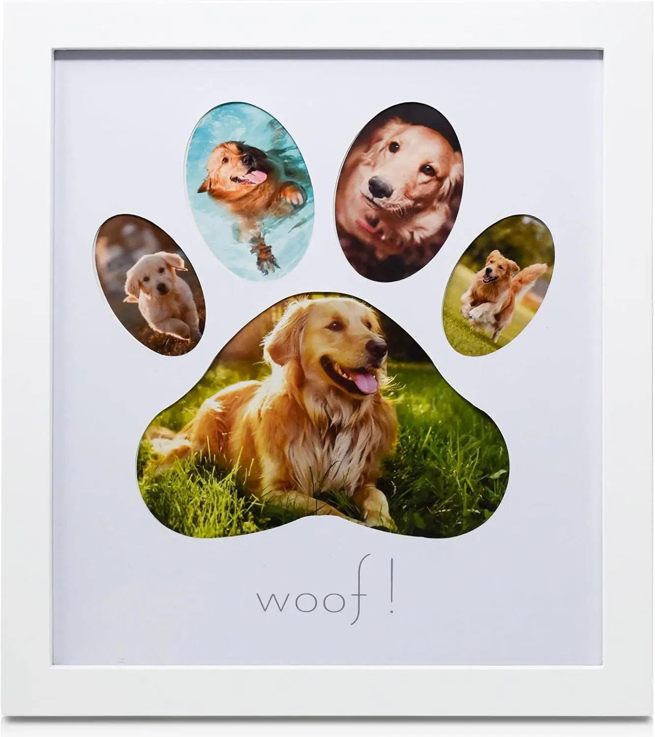 Green Pollywog Pet Memorial Shadowbox | Collar, Tag & Photo Keepsake 5 Opening Paw Print White Frame