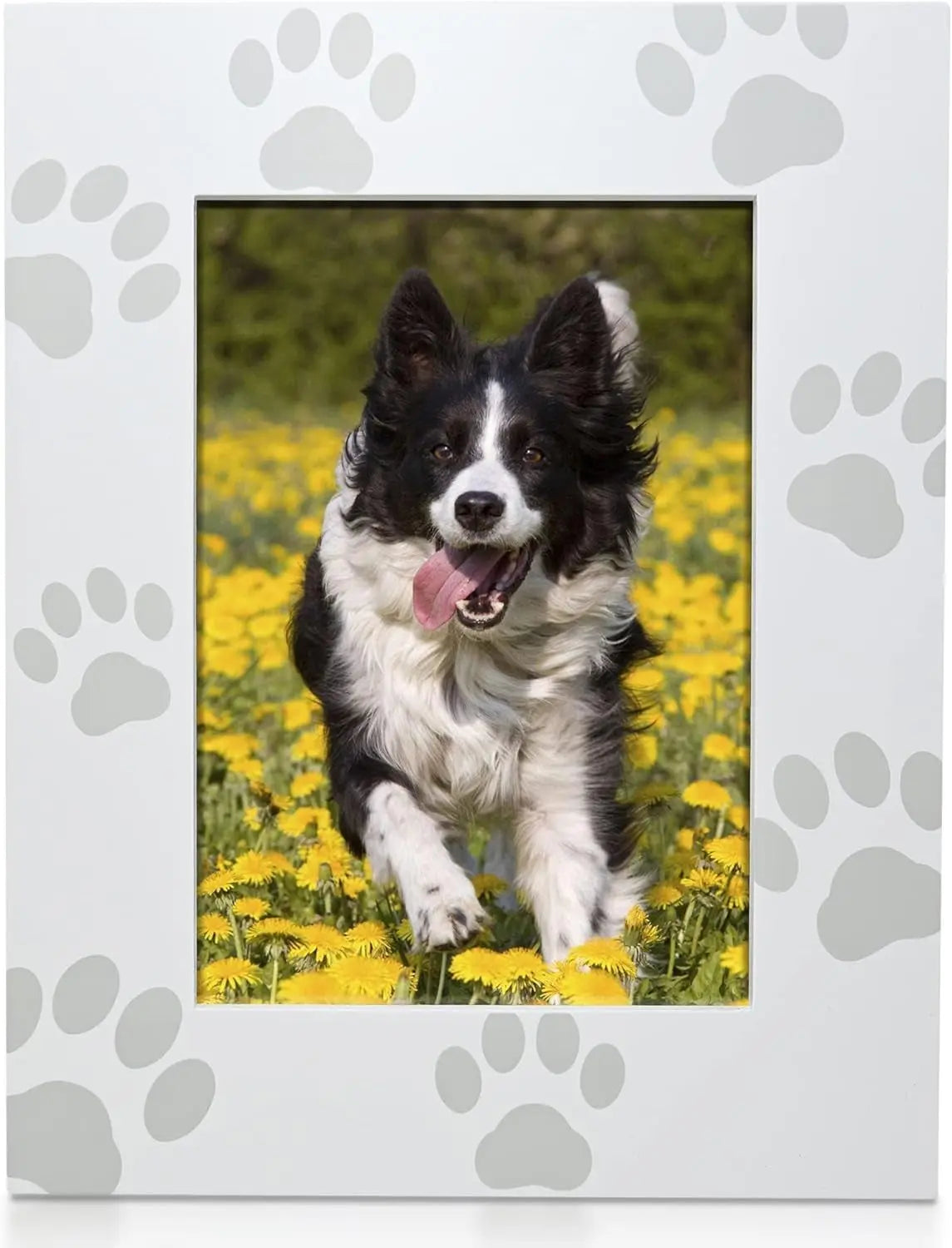 Green Pollywog Pet Memorial Shadowbox | Collar, Tag & Photo Keepsake Screenprinted Paw Print Frame