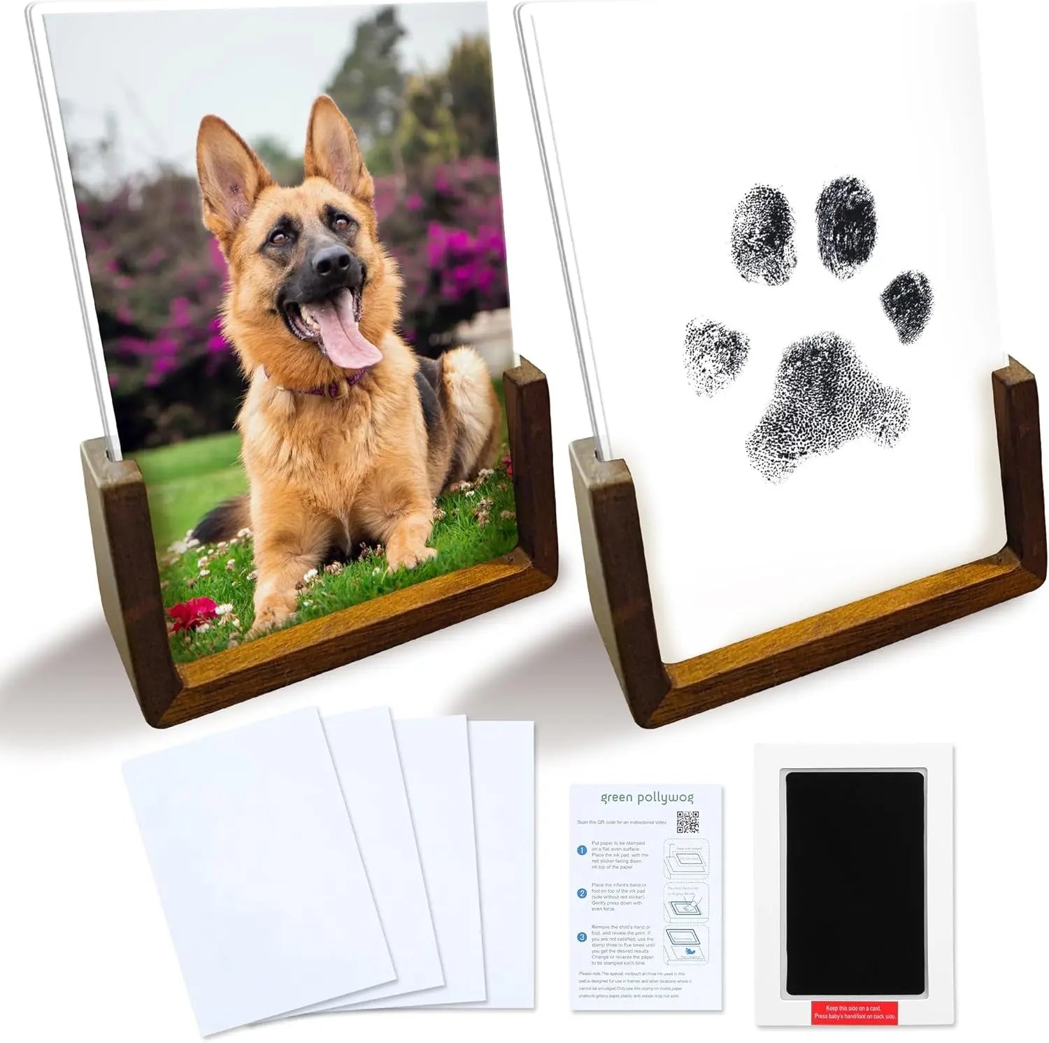 Green Pollywog Pet Memorial Shadowbox | Collar, Tag & Photo Keepsake Wood Base Pawprint Frame Kit