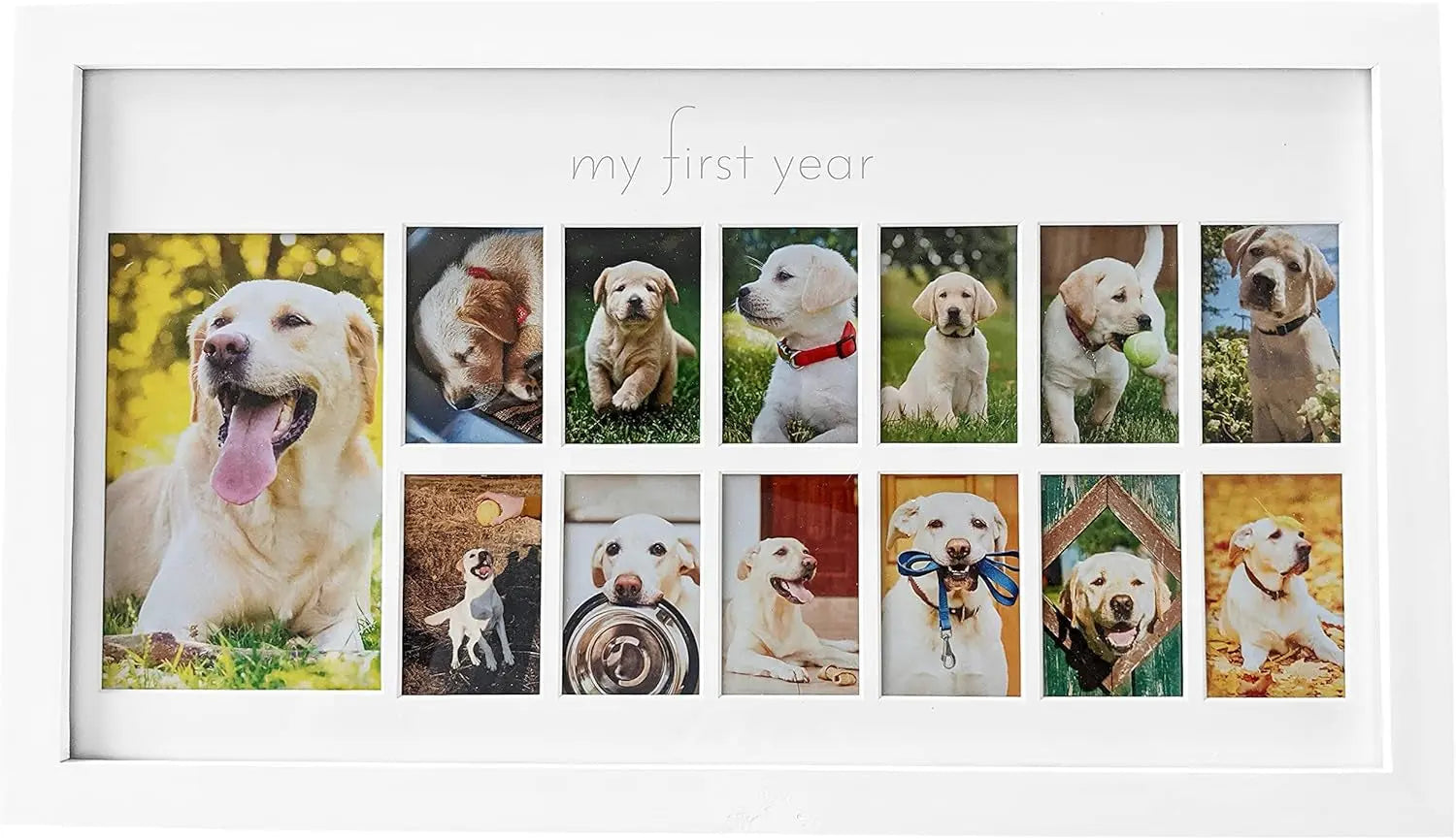Green Pollywog Pet Memorial Shadowbox | Collar, Tag & Photo Keepsake Dog First Year White