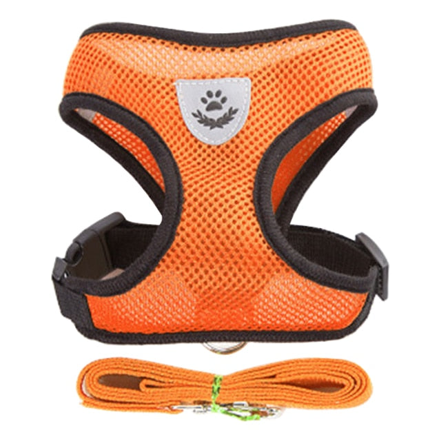 Cat Dog Harness Vest Walking Lead Adjustable Leash Orange China