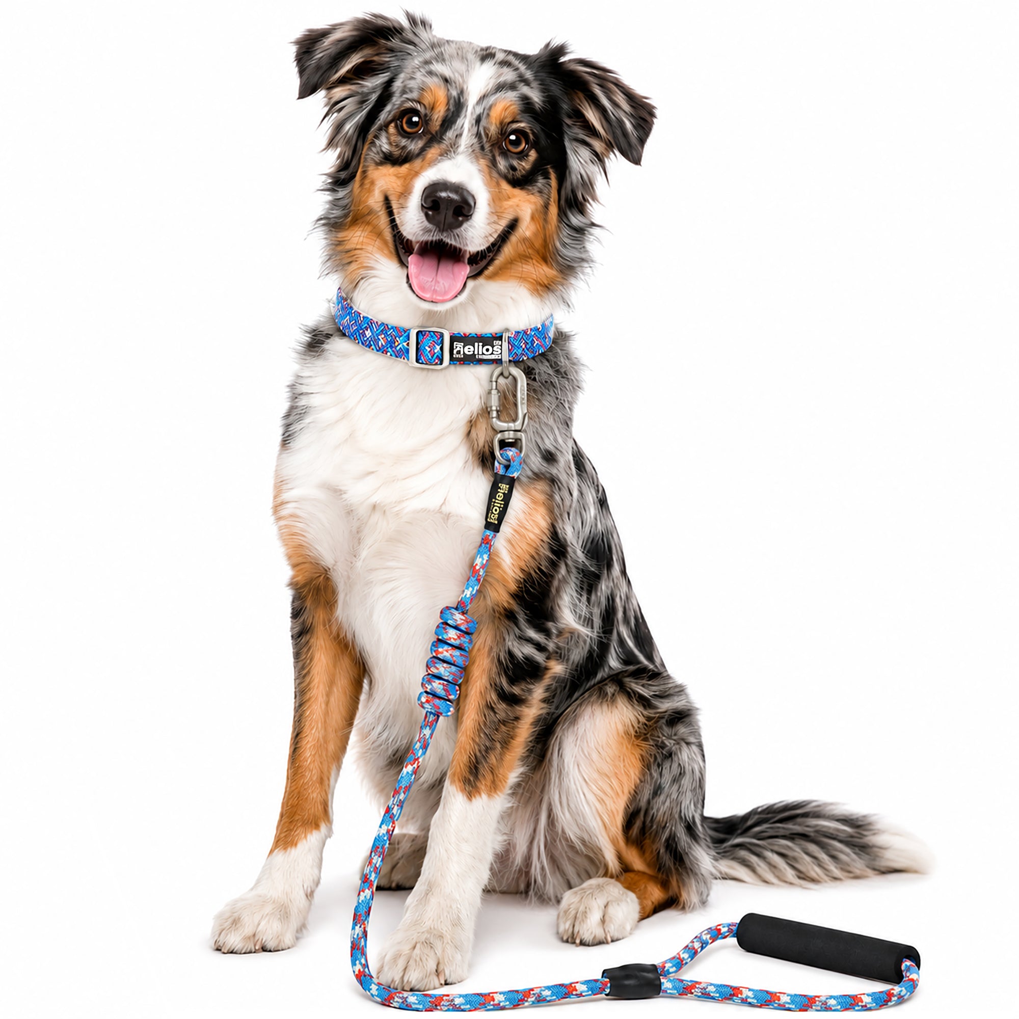 Dog Helios ® 'Dura-Tough' 2-in-1 Reflective Adjustable Fashion Dog Leash and Collar Blue