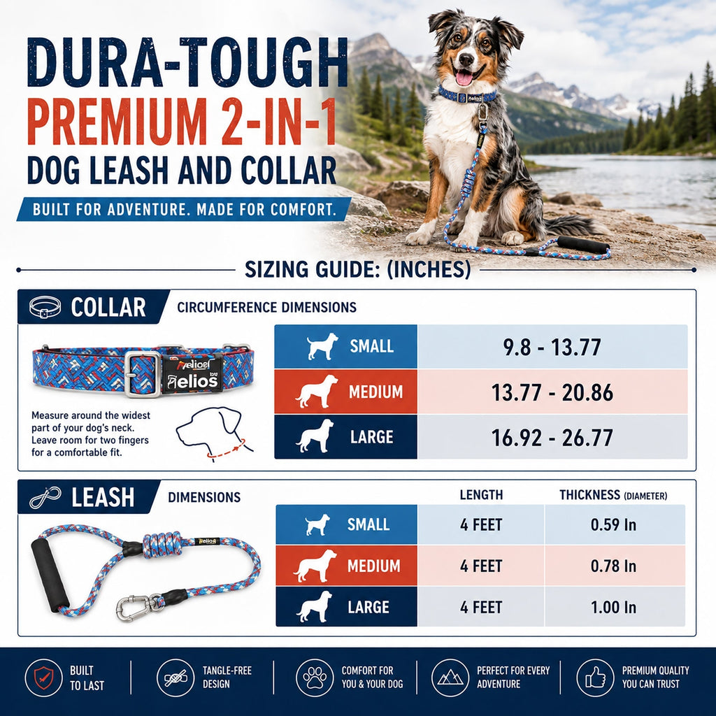 Dog Helios ® 'Dura-Tough' 2-in-1 Reflective Adjustable Fashion Dog Leash and Collar