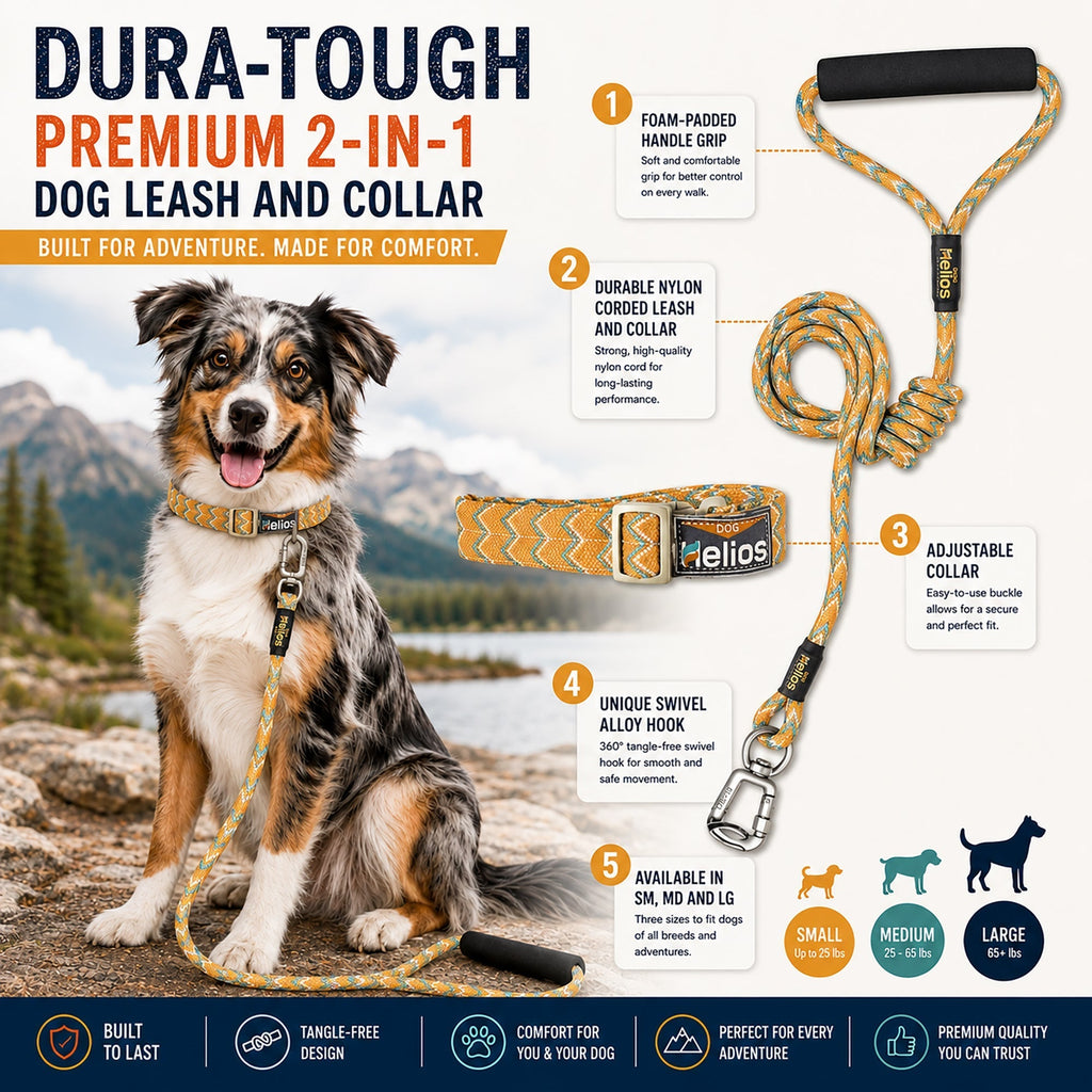 Dog Helios ® 'Dura-Tough' 2-in-1 Reflective Adjustable Fashion Dog Leash and Collar