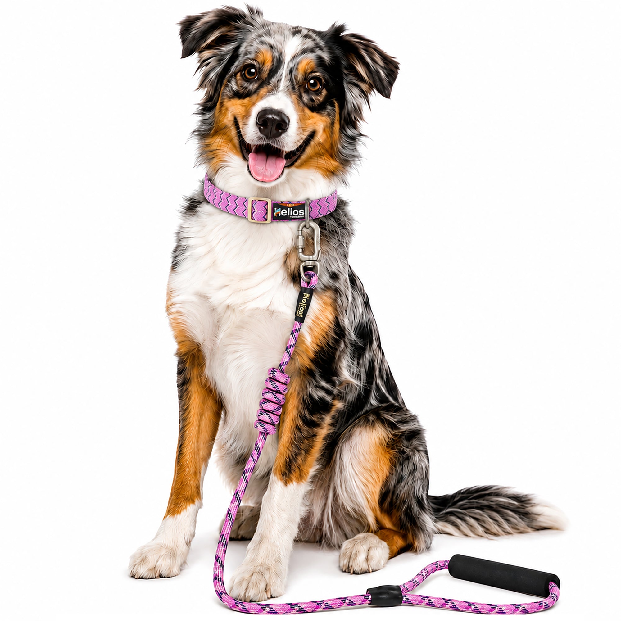 Dog Helios ® 'Dura-Tough' 2-in-1 Reflective Adjustable Fashion Dog Leash and Collar Pink