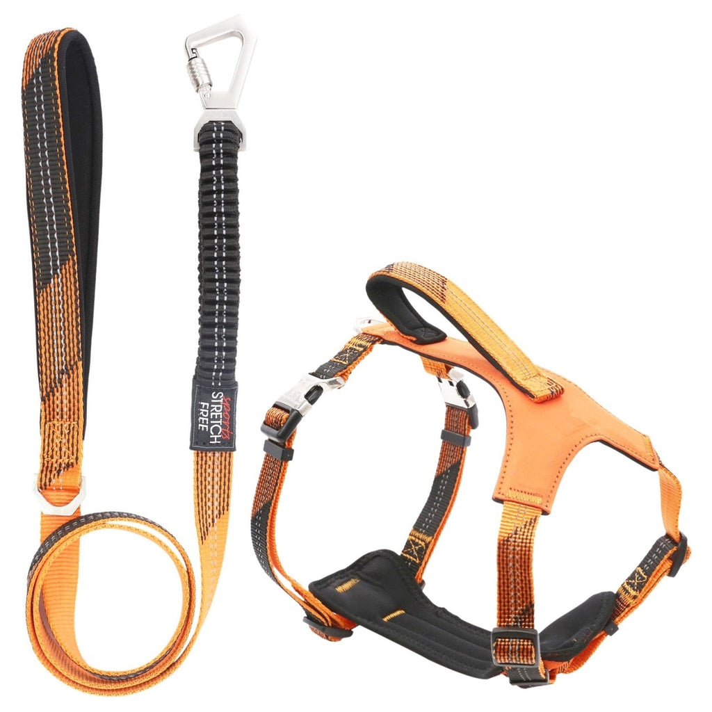 Pet Life ® 'Geo-prene' 2-in-1 Shock Absorbing Neoprene Padded Reflective Dog Leash and Harness Orange