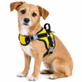 Dog Helios ® 'Scorpion' Sporty High-Performance Free-Range Dog Harness Yellow