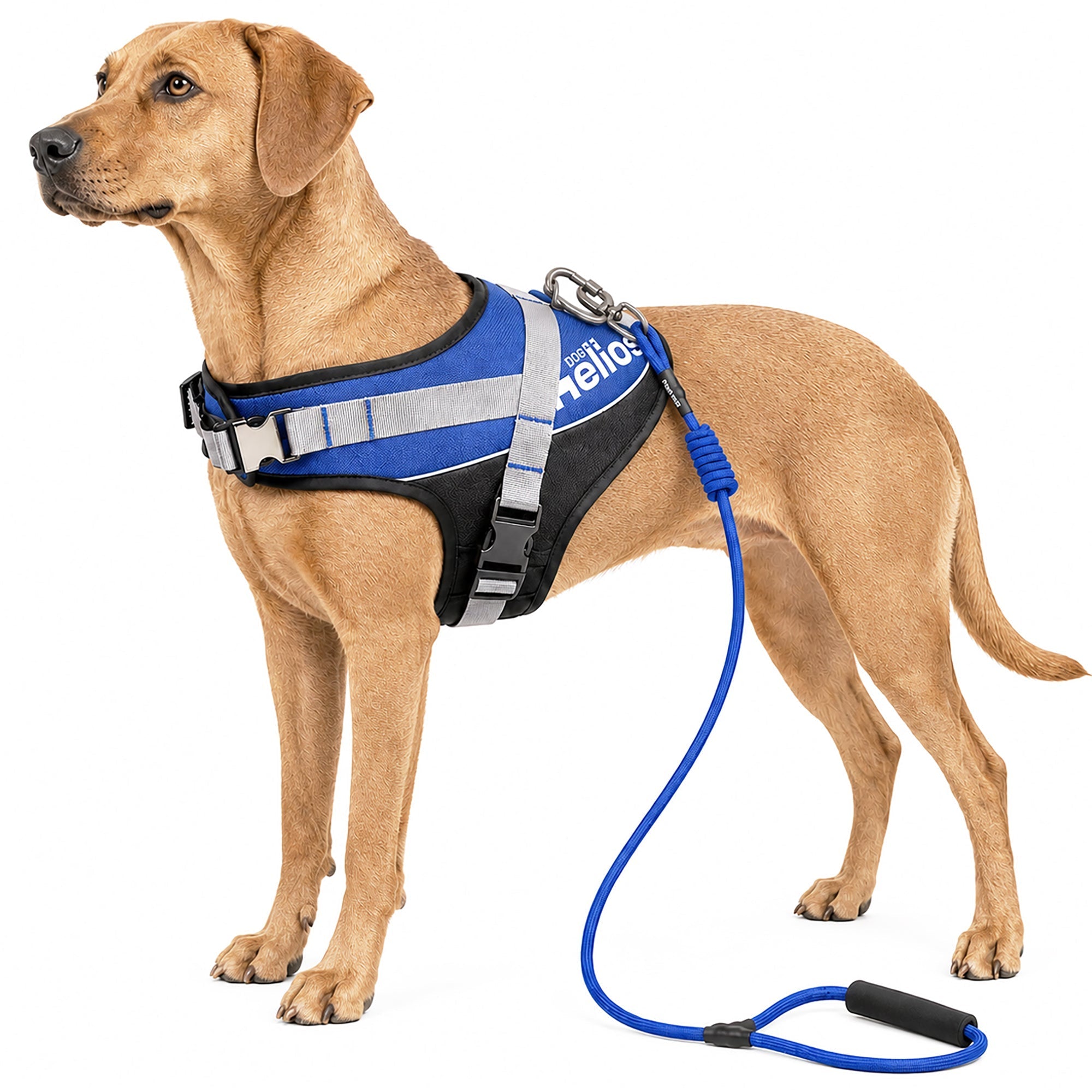 Dog Helios ® 'Bark-Mudder' 2-in-1 Reflective and Adjustable Sporty Dog Harness and Leash Blue