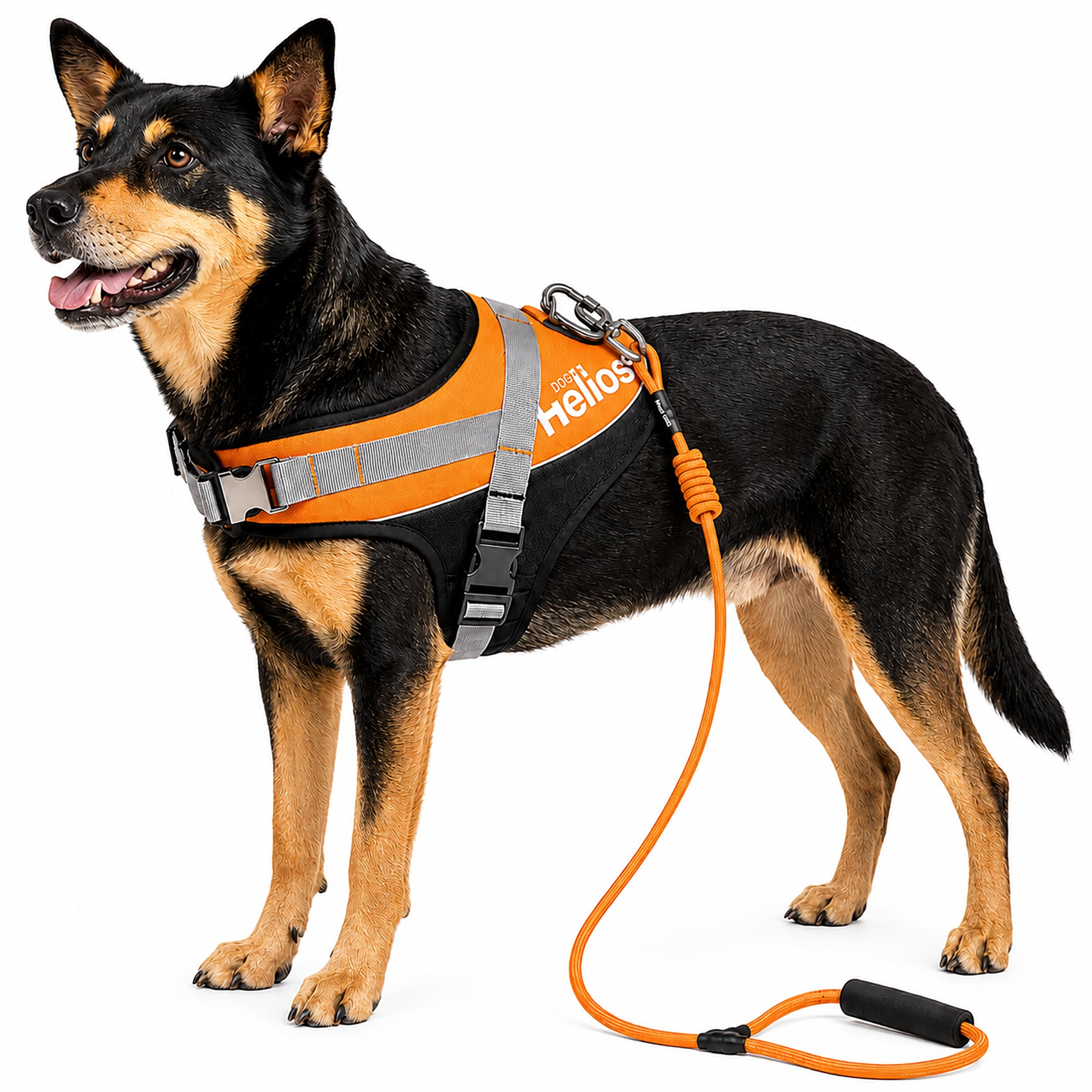 Dog Helios ® 'Bark-Mudder' 2-in-1 Reflective and Adjustable Sporty Dog Harness and Leash Orange